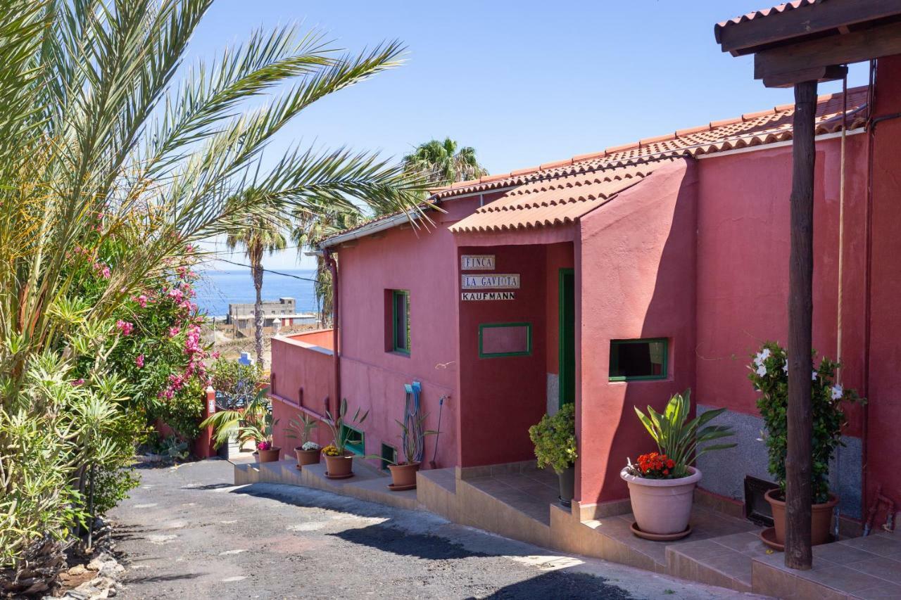 Finca La Gaviota - El Rincon Icod De Los Vinos Eksteriør bilde